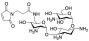 Tobramycin 3-Maleimidopropionate