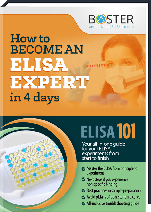 Get your free Handbook about the ELISA-Tecnique