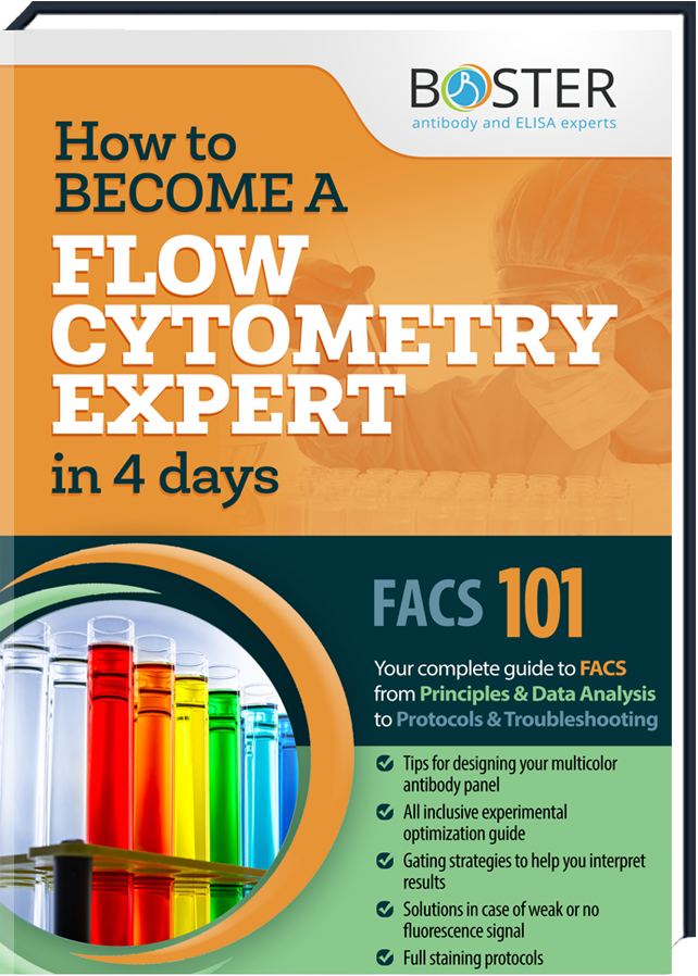 Erhalten dein kostenloses Handbuch über die Flow Cytometry-Methode