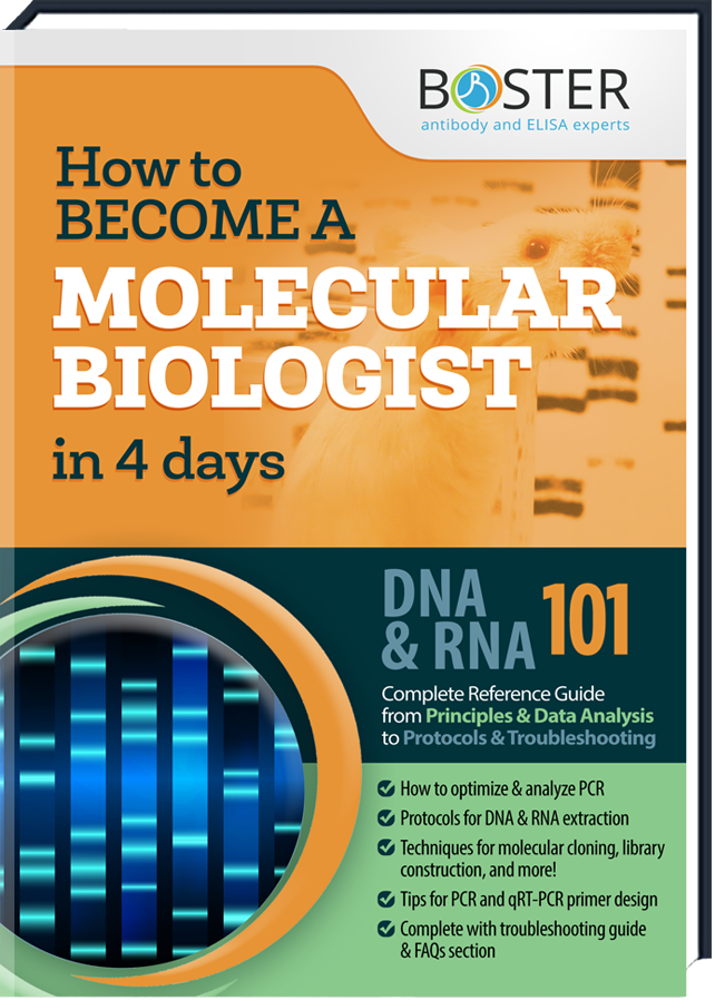 Erhalten dein kostenloses Handbuch über die Molekular Biologie