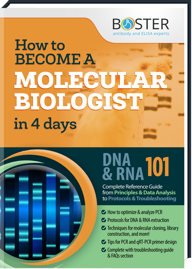 Cover of the handbook to get an Molecular Biology-Expert