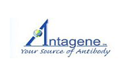 Antagene