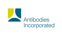 Antibodies Inc