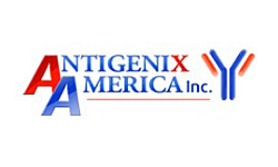 Antigenix America Inc.