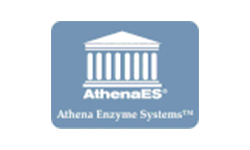 Athena ES