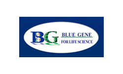  BG Bluegene