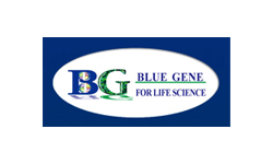 BG Bluegene