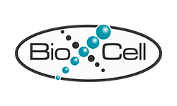 Bio X Cell