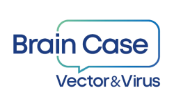 Brain Case
