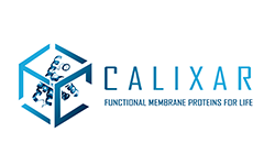 CALIXAR