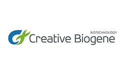 Creative-Biogene