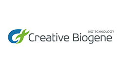 Creative Biogene