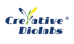 Creative Biolabs