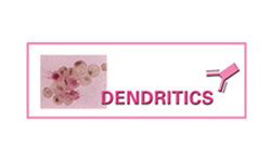 Denditrics