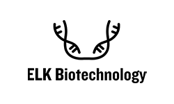 ELK Biotechnology