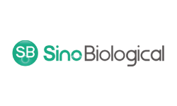 Sino Biological