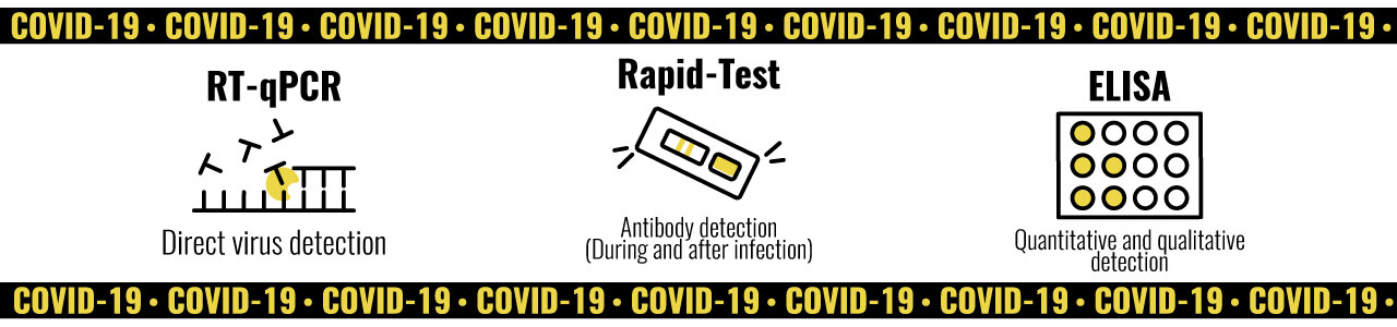 COVID-19 diagnostische Produkte