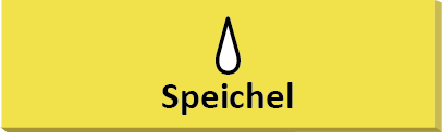 Speichel