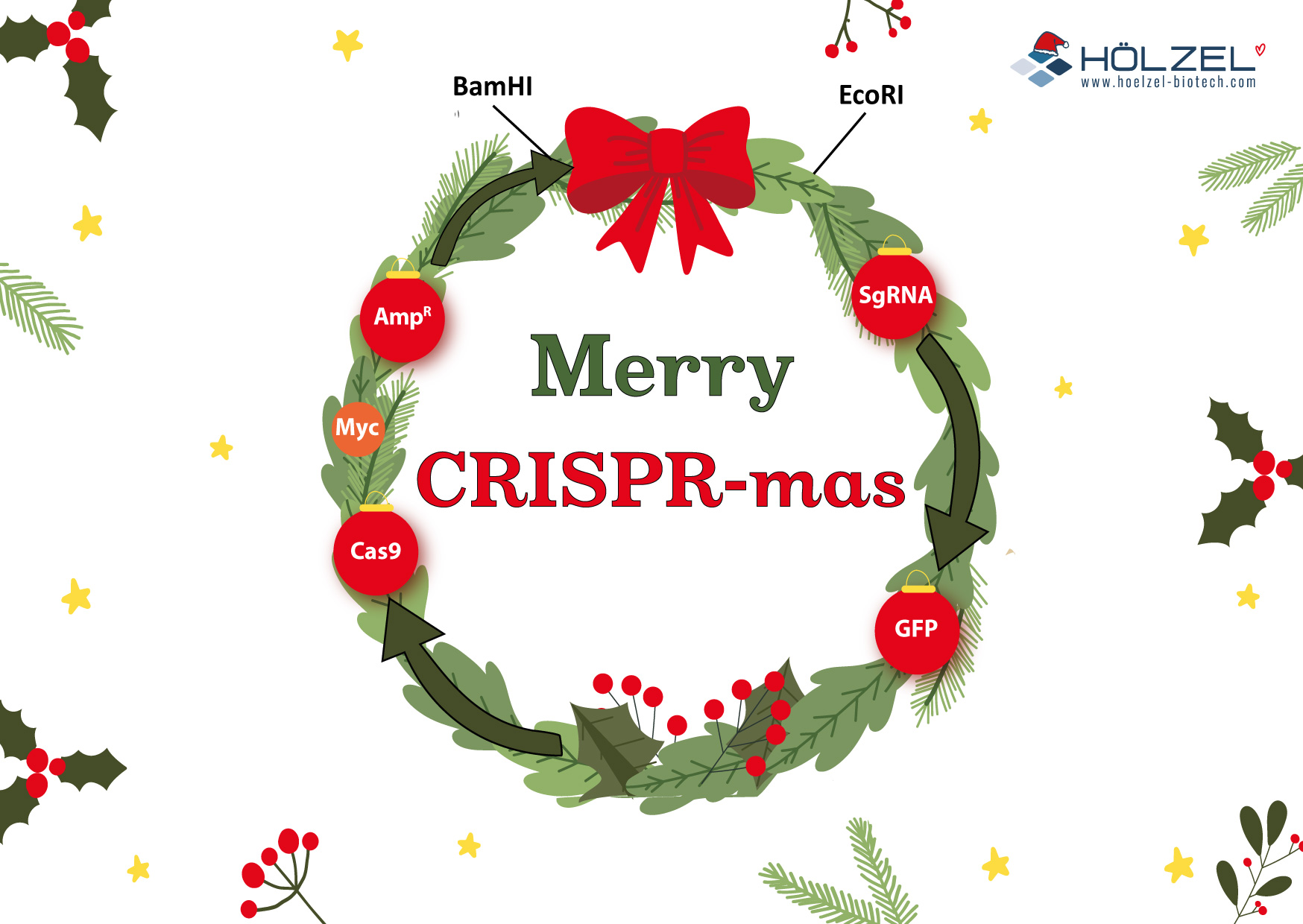 CRISPRmas Postkarte anfordern