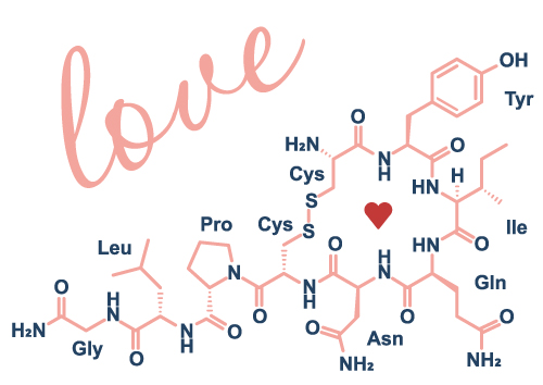 Liebe in chemischer Form