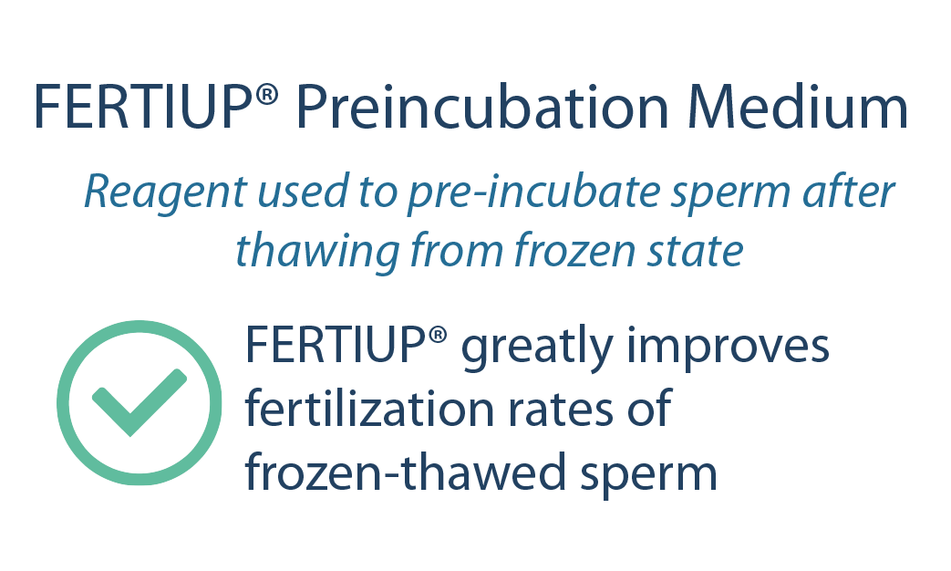 Fertiup Preincubation Medium