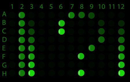 Example of an array assay