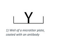 The microplate is coated with an antibody.