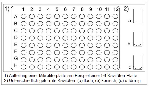 Beispiel einer Mikrotiterplatte mit 96 Kavitäten