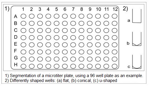 Example of a microtiter plate with 96 wells, showing the differently shaped wells