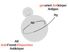 Antikörper-Antigen Schema