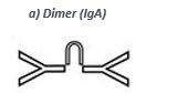 First barrier against intruders present in mucous membranes