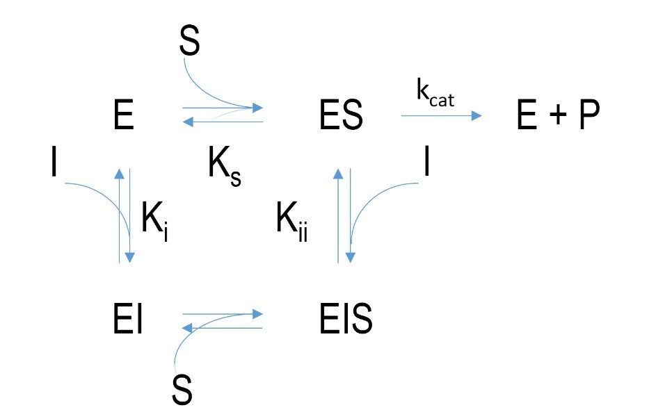  Schematischer Mechanismus einer nicht-kompetitiven Hemmung.