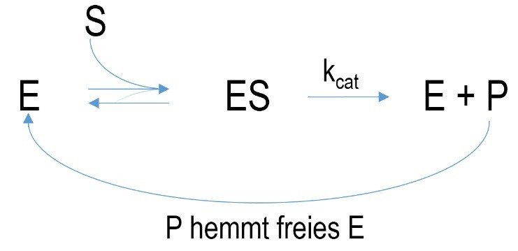 Schematic mechanism of a feedback inhibition./></span></p>
<p style=